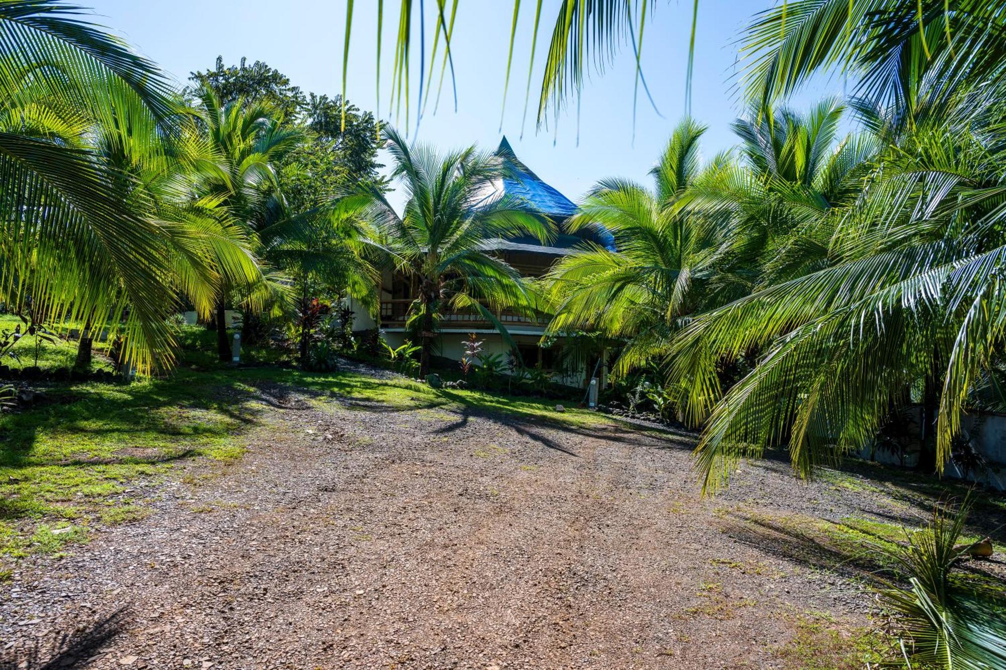 Eco-Lodge Deseo Bamboo Santa Catalina Eksteriør billede