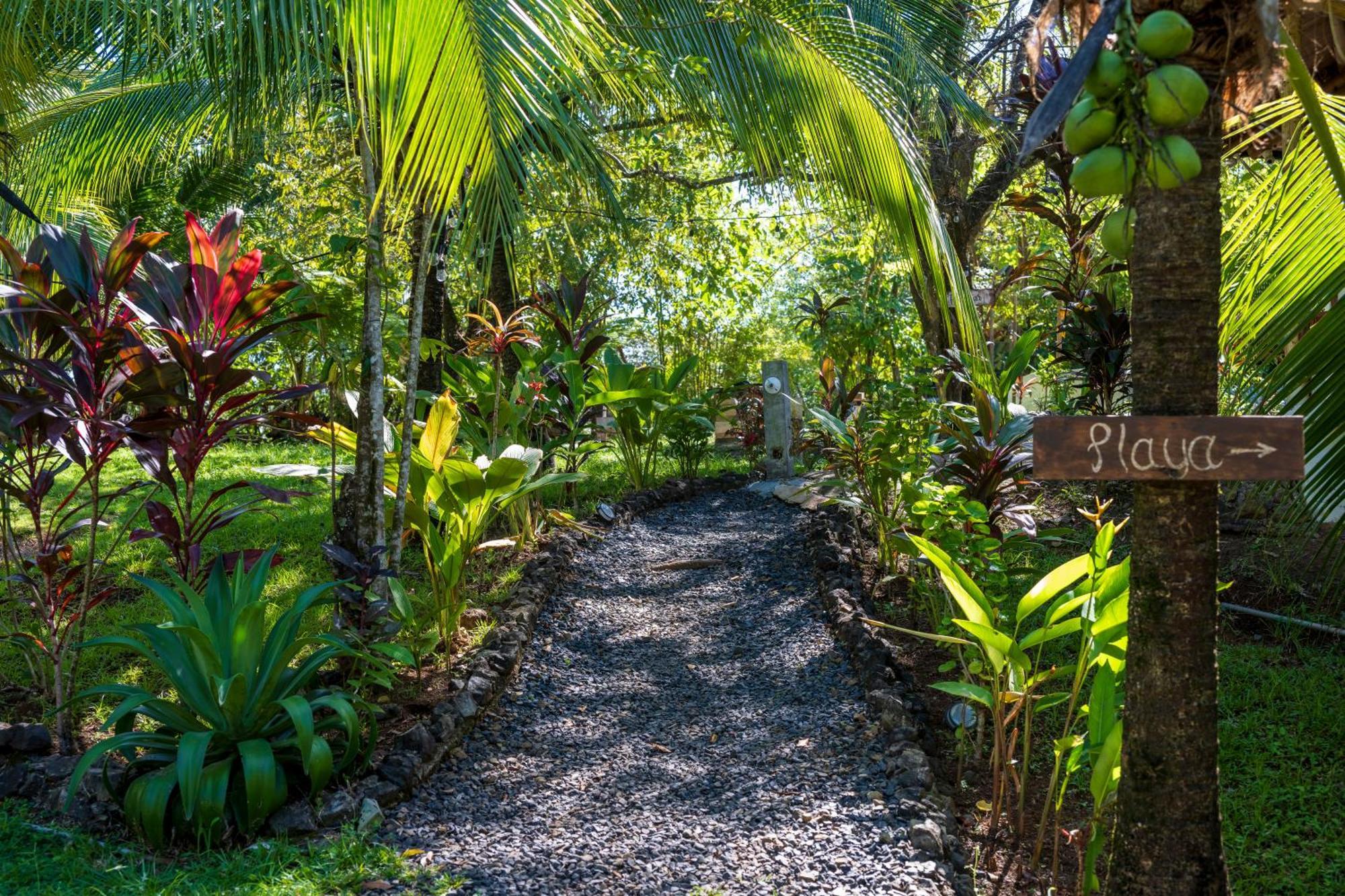 Eco-Lodge Deseo Bamboo Santa Catalina Eksteriør billede