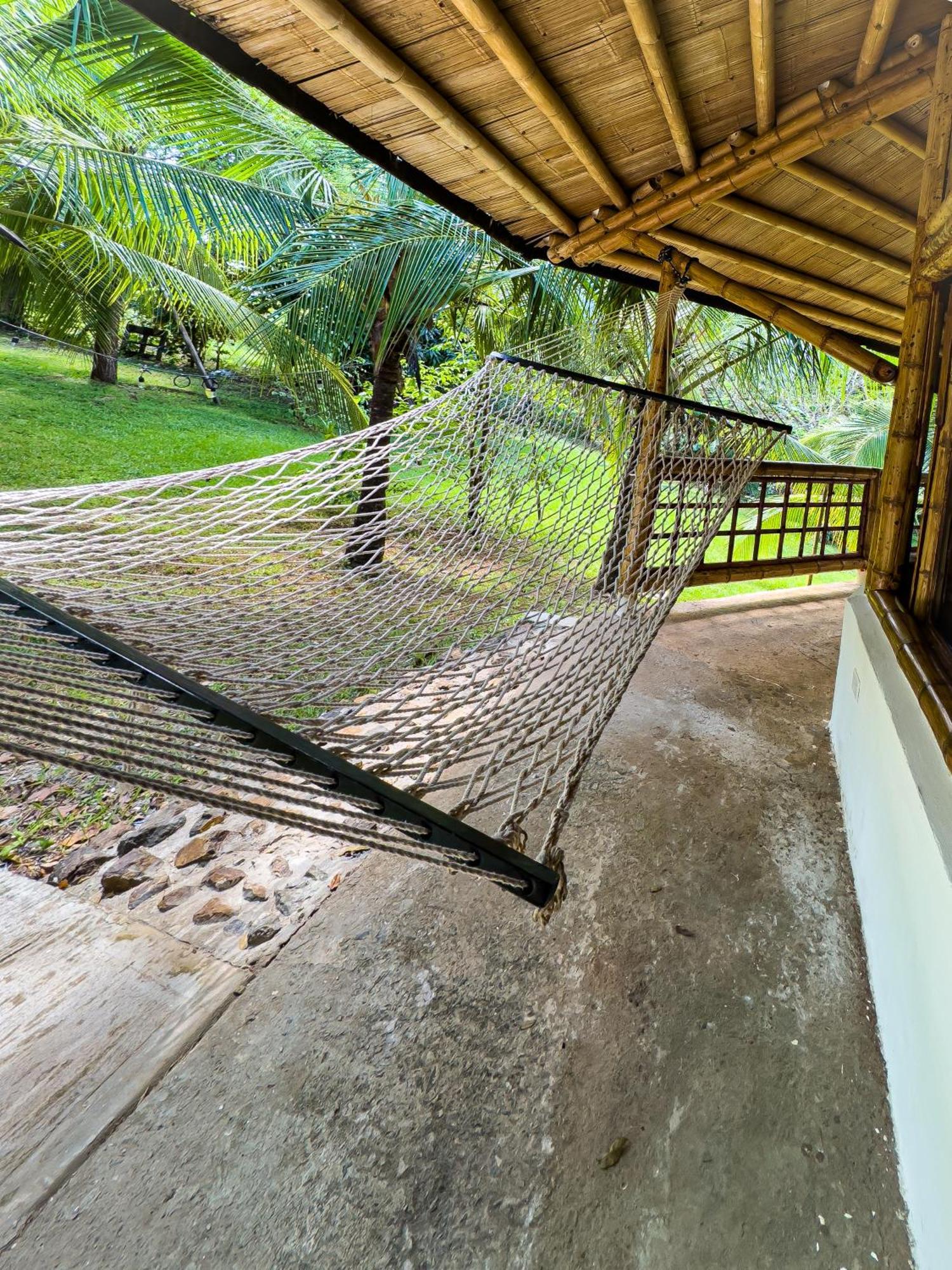Eco-Lodge Deseo Bamboo Santa Catalina Eksteriør billede