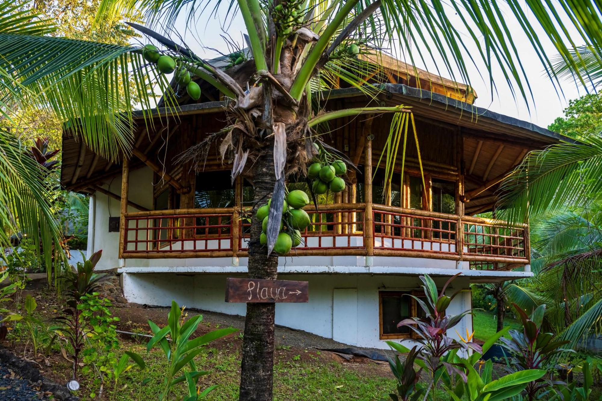 Eco-Lodge Deseo Bamboo Santa Catalina Eksteriør billede