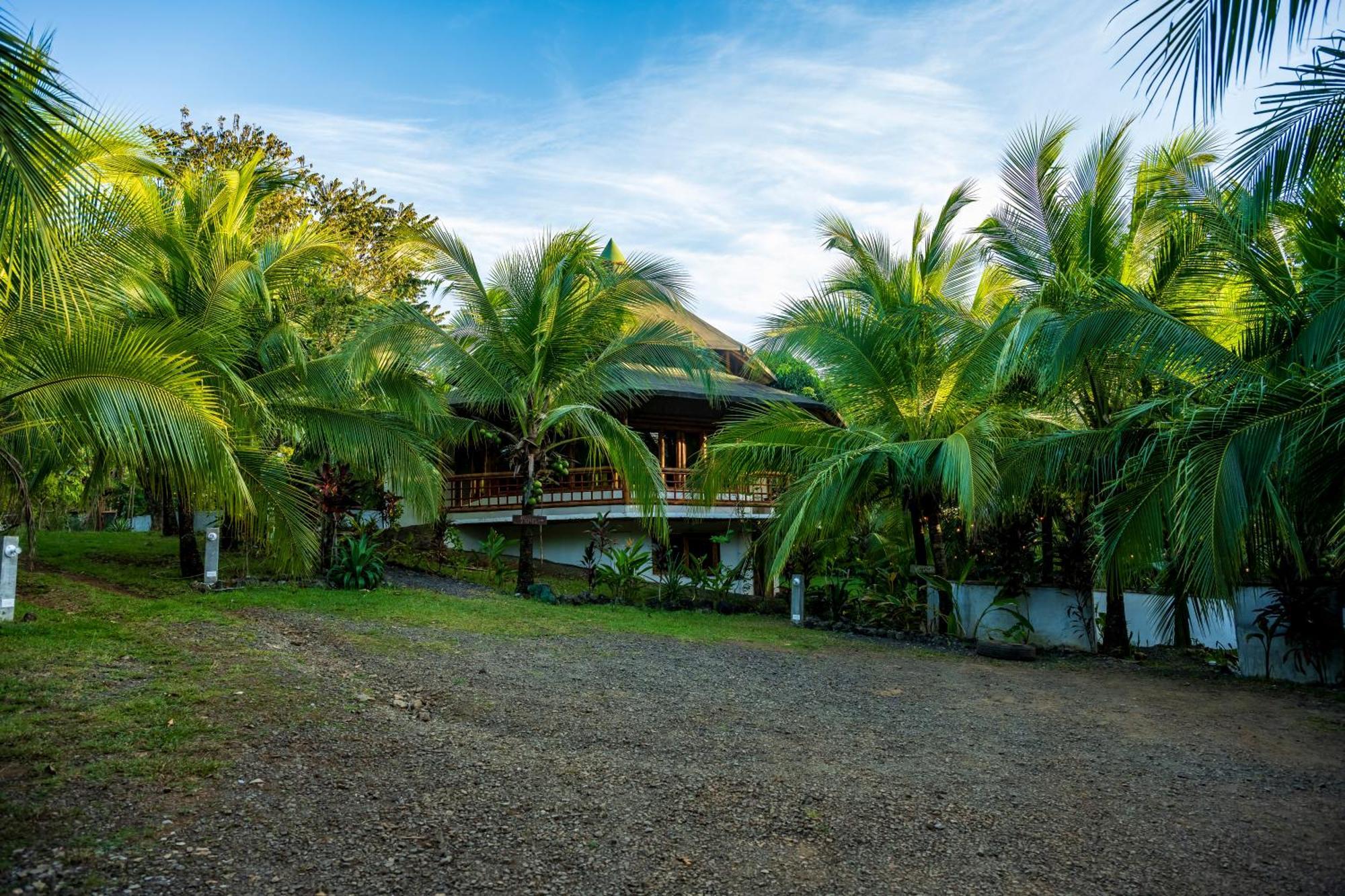 Eco-Lodge Deseo Bamboo Santa Catalina Eksteriør billede