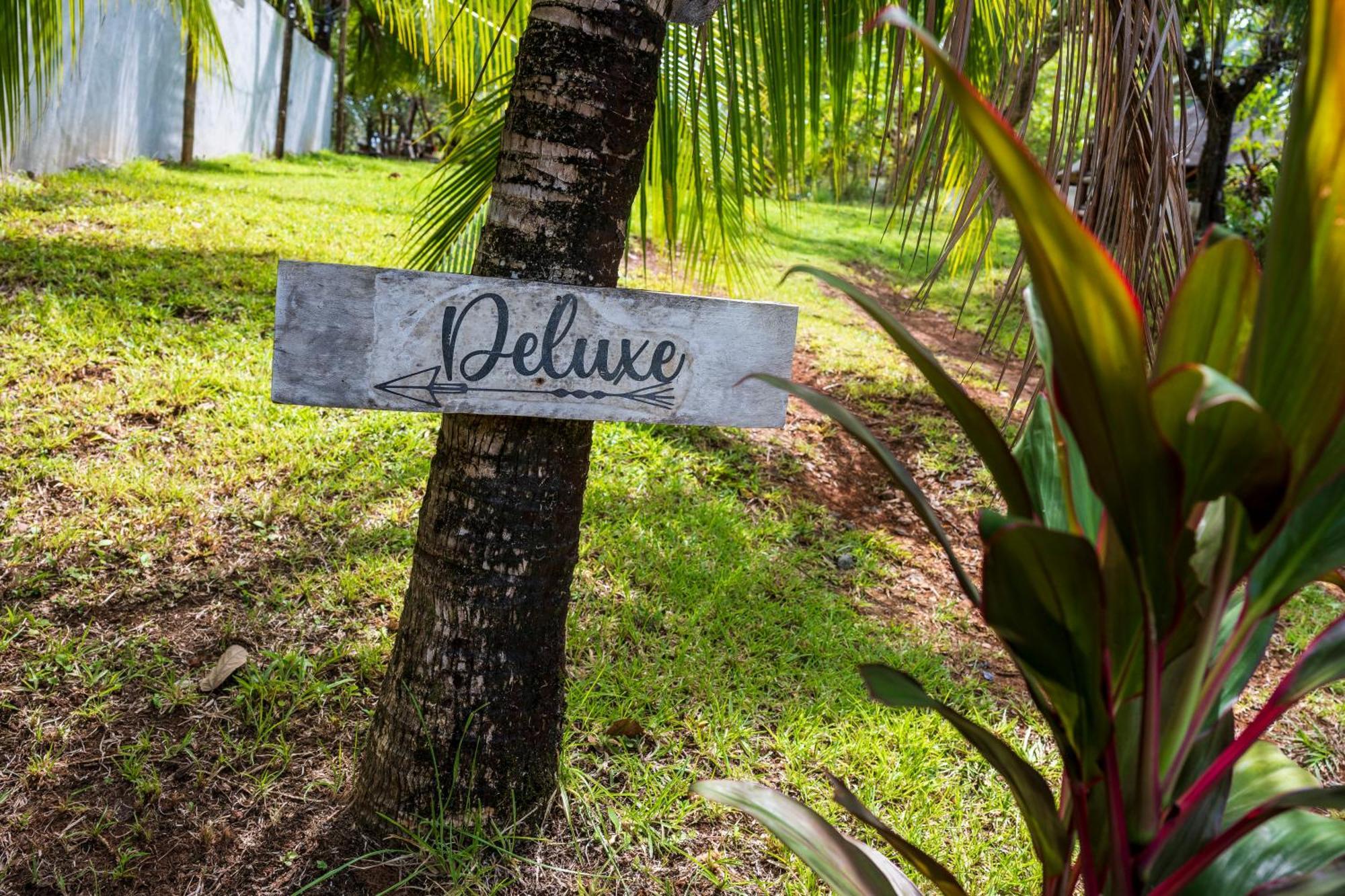 Eco-Lodge Deseo Bamboo Santa Catalina Eksteriør billede
