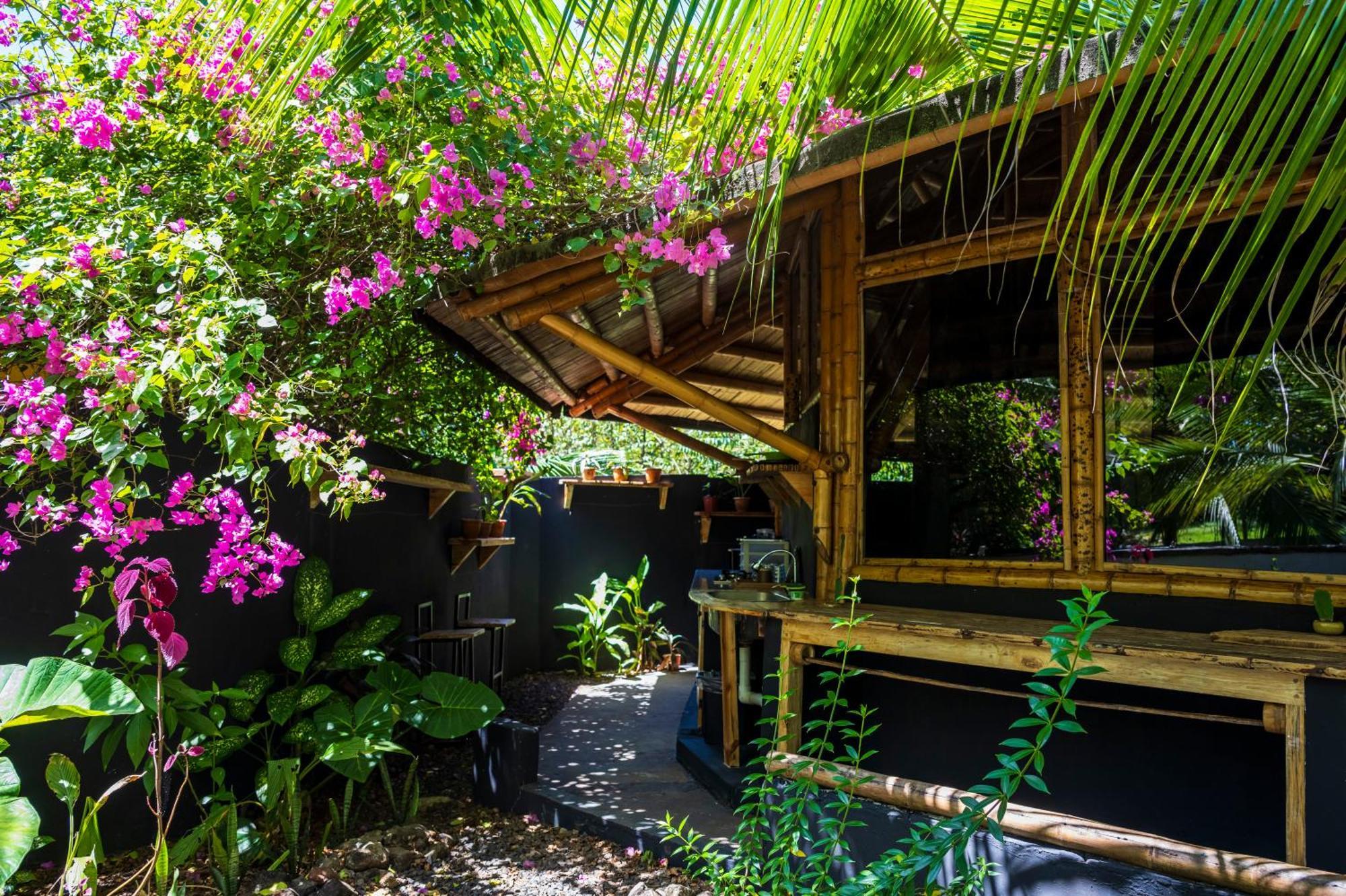 Eco-Lodge Deseo Bamboo Santa Catalina Eksteriør billede